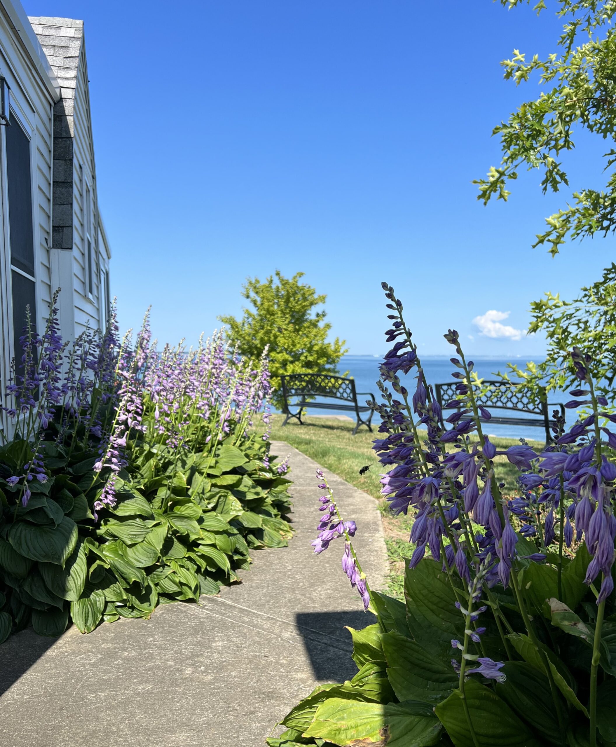 view of Cottage 10 and Lake Erie